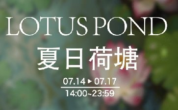 传奇扑克夏日荷塘活动免费赢12100福卡